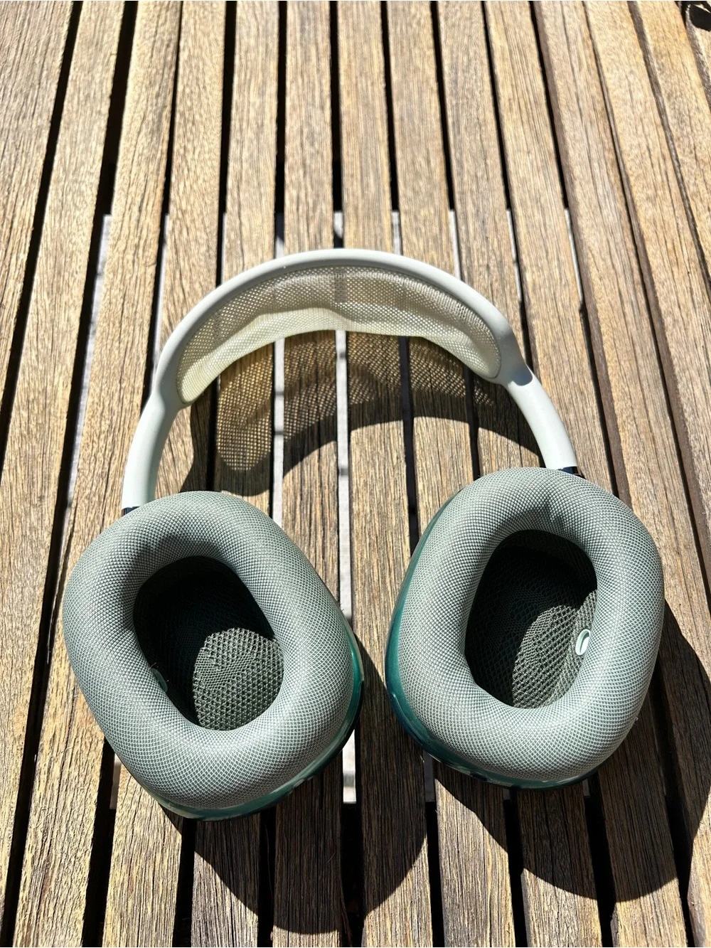 EarPod Max 1